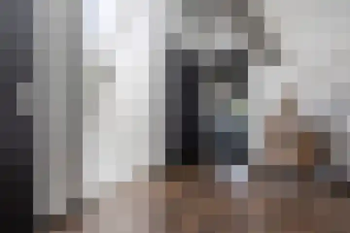 De Nieuwe Ploeg 7 Berlicum thumbnail 40