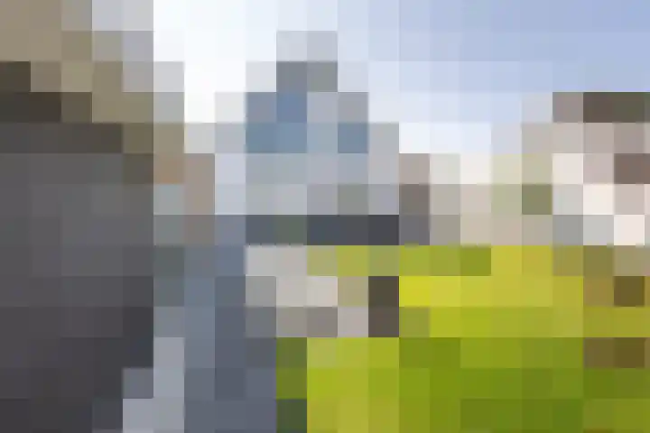 De Nieuwe Ploeg 7 Berlicum thumbnail 43