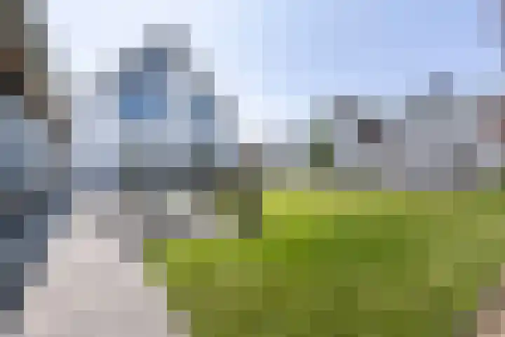 De Nieuwe Ploeg 7 Berlicum thumbnail 44