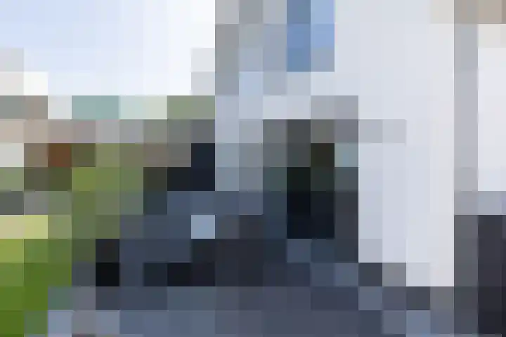 De Nieuwe Ploeg 7 Berlicum thumbnail 45