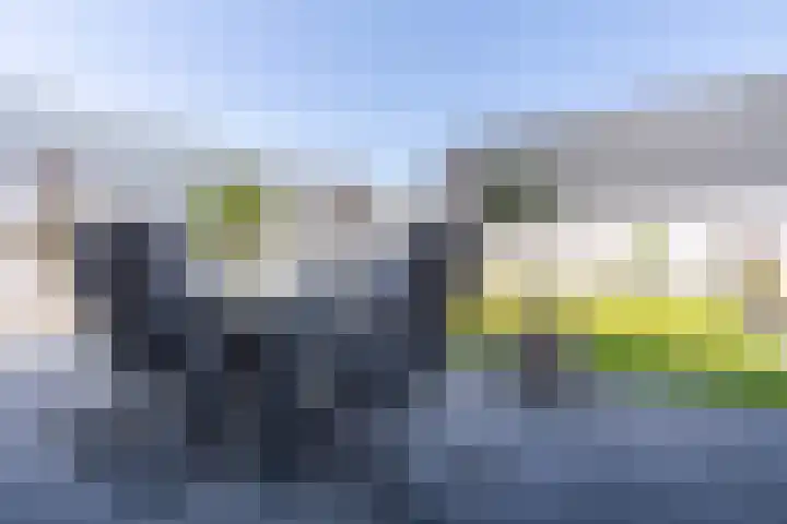 De Nieuwe Ploeg 7 Berlicum thumbnail 46