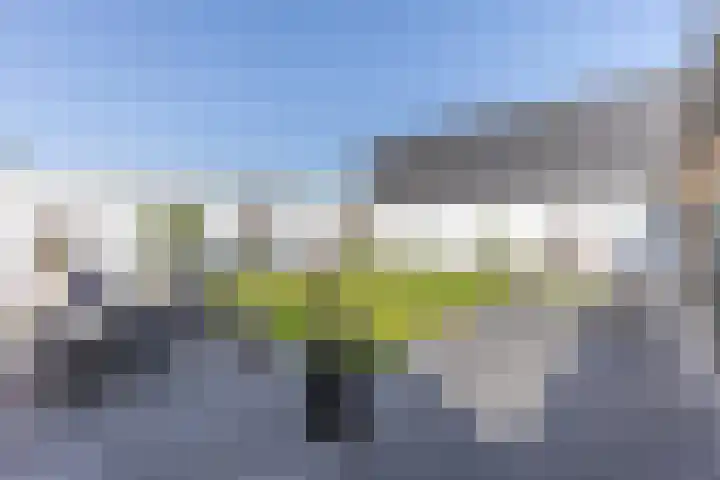 De Nieuwe Ploeg 7 Berlicum thumbnail 47