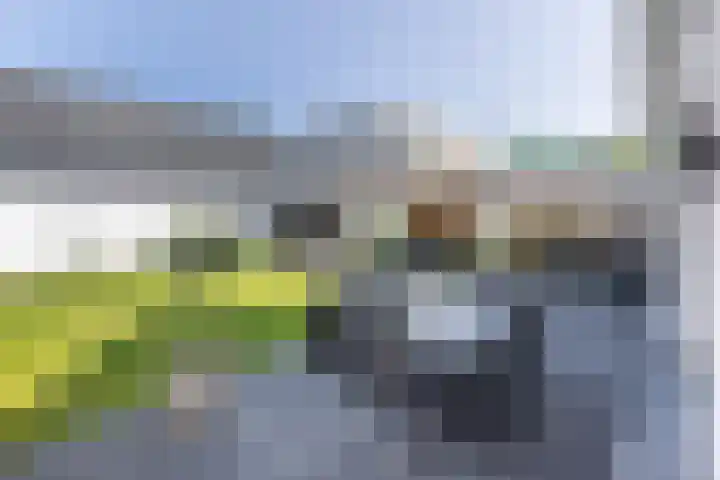 De Nieuwe Ploeg 7 Berlicum thumbnail 48