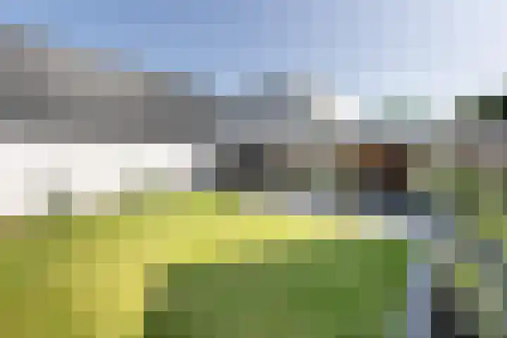 De Nieuwe Ploeg 7 Berlicum thumbnail 49