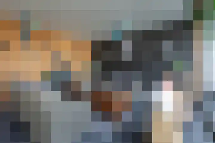 De Nieuwe Ploeg 7 Berlicum thumbnail 51