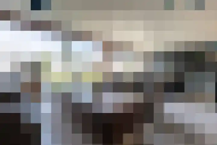 De Nieuwe Ploeg 7 Berlicum thumbnail 53