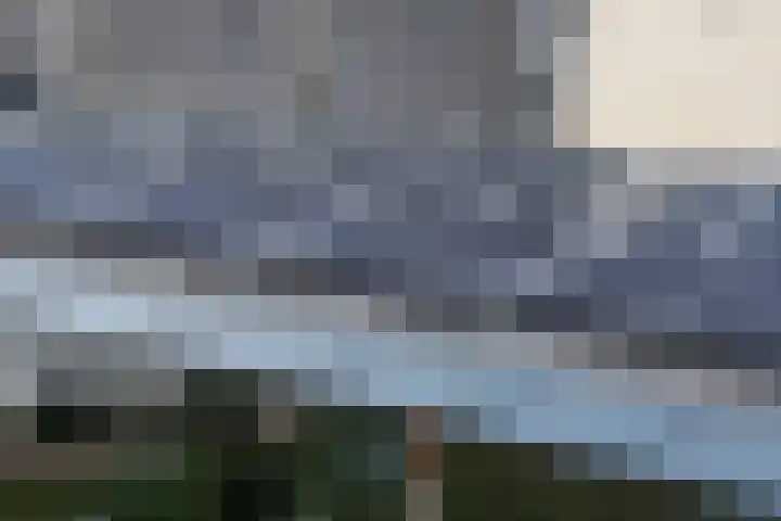 De Nieuwe Ploeg 7 Berlicum thumbnail 54