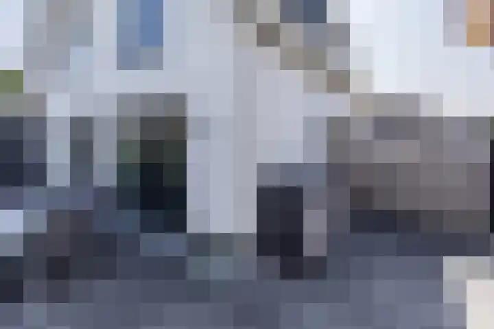 De Nieuwe Ploeg 7 Berlicum thumbnail 55