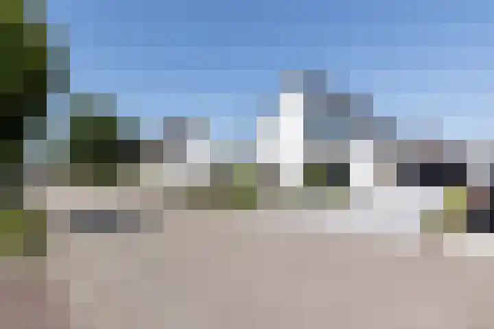 De Nieuwe Ploeg 7 Berlicum thumbnail 57