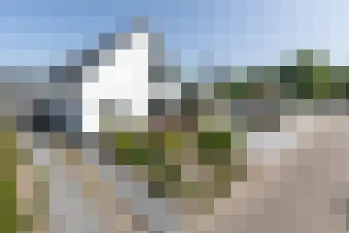 De Nieuwe Ploeg 7 Berlicum thumbnail 58