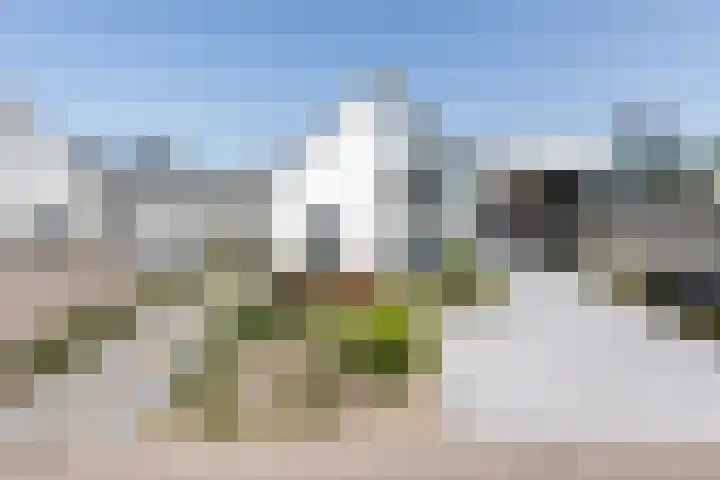 De Nieuwe Ploeg 7 Berlicum thumbnail 59