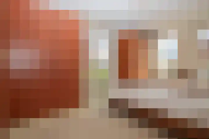 De Nieuwe Poort 54 Woudenberg thumbnail 20