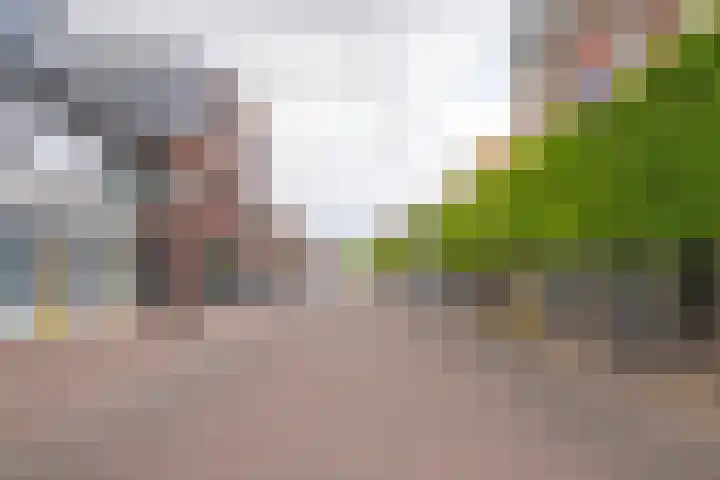 De Nieuwe Poort 54 Woudenberg thumbnail 33