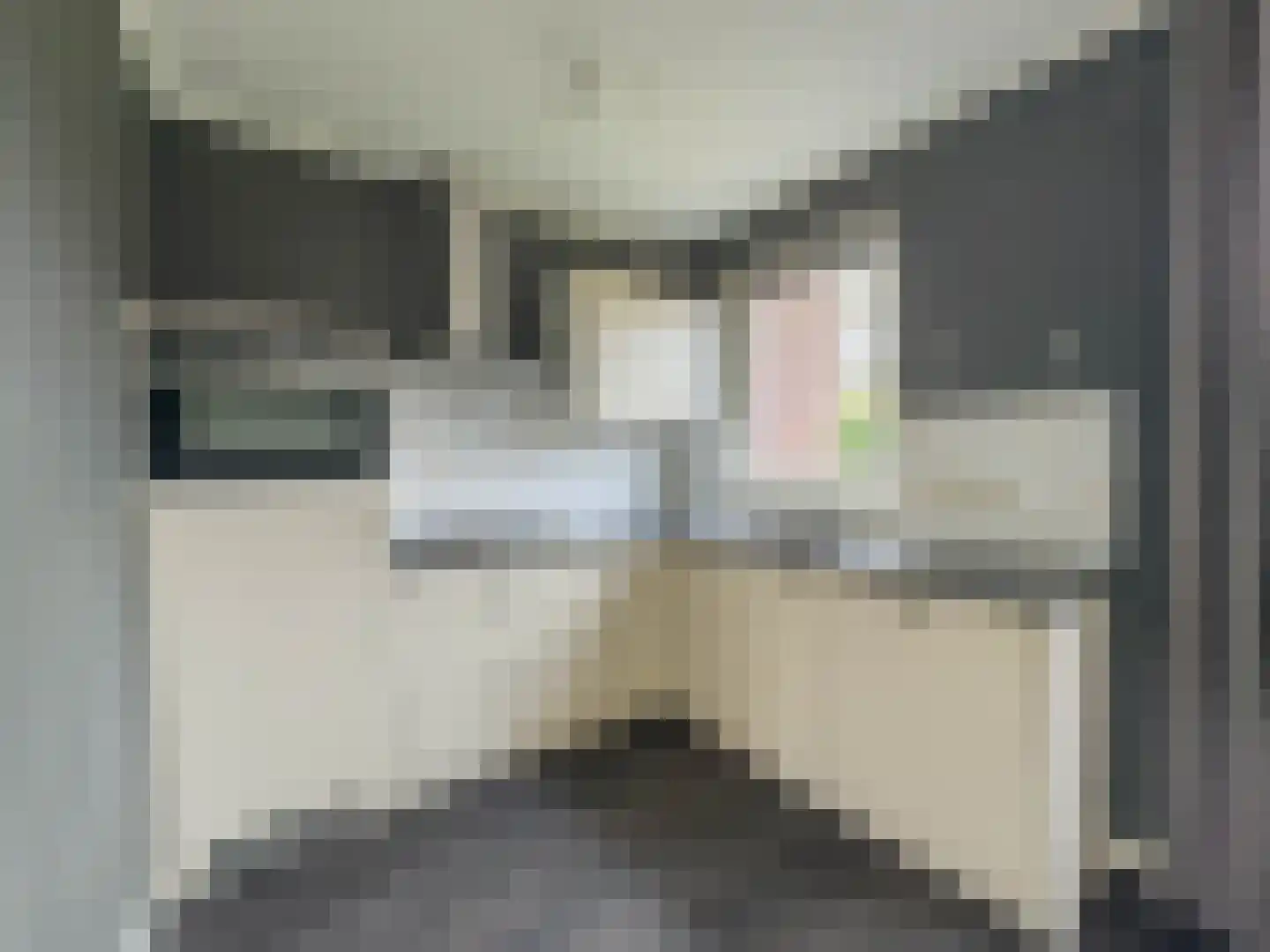 de Nieuwe Zoek 1 Schijf thumbnail 10