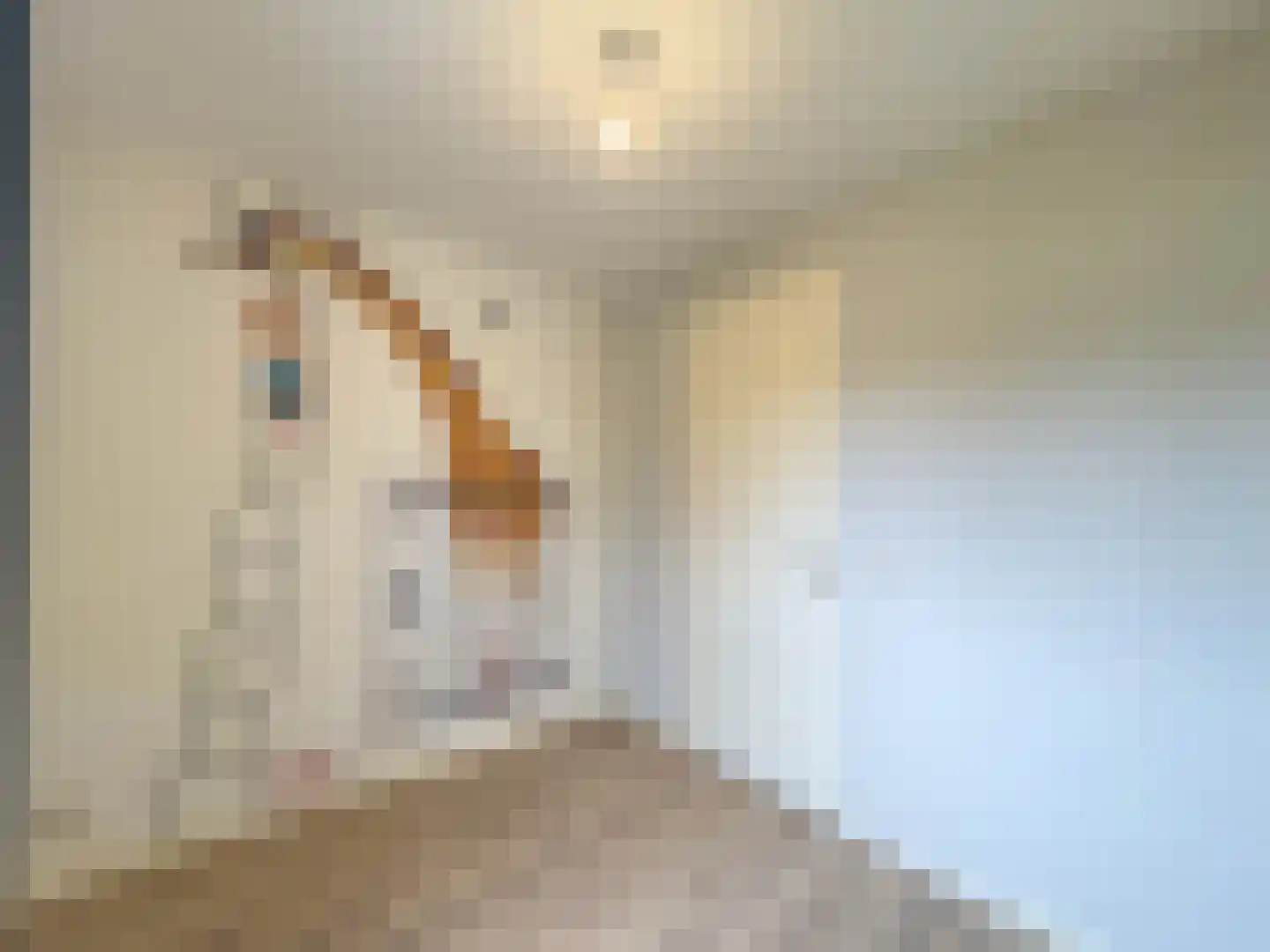 de Nieuwe Zoek 1 Schijf thumbnail 16