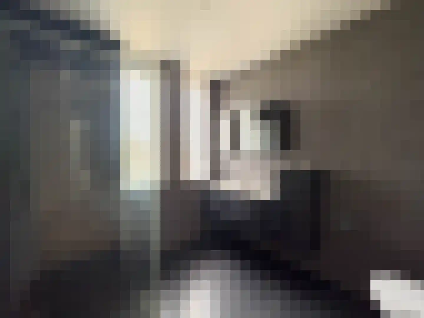 de Nieuwe Zoek 1 Schijf thumbnail 20