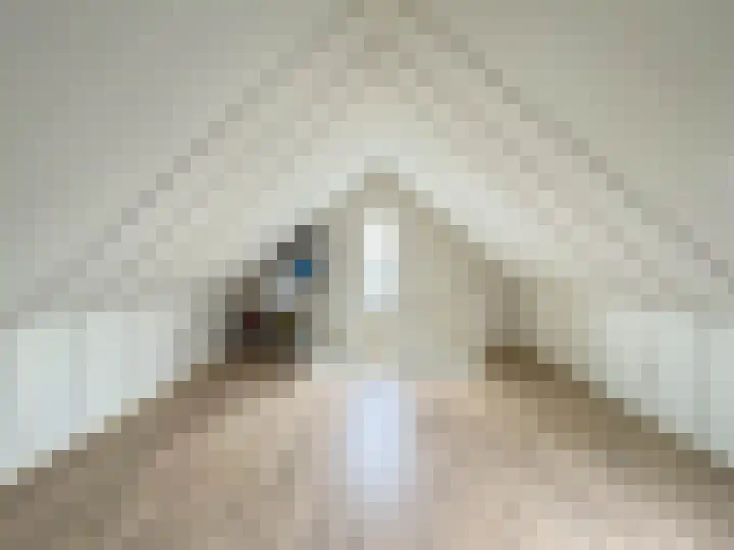 de Nieuwe Zoek 1 Schijf thumbnail 22