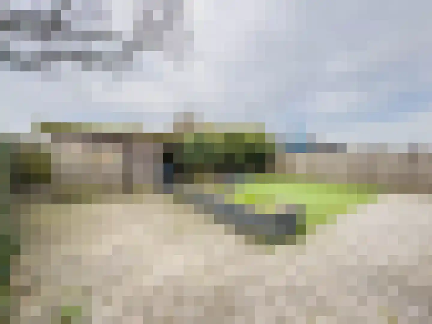 de Nieuwe Zoek 1 Schijf thumbnail 25
