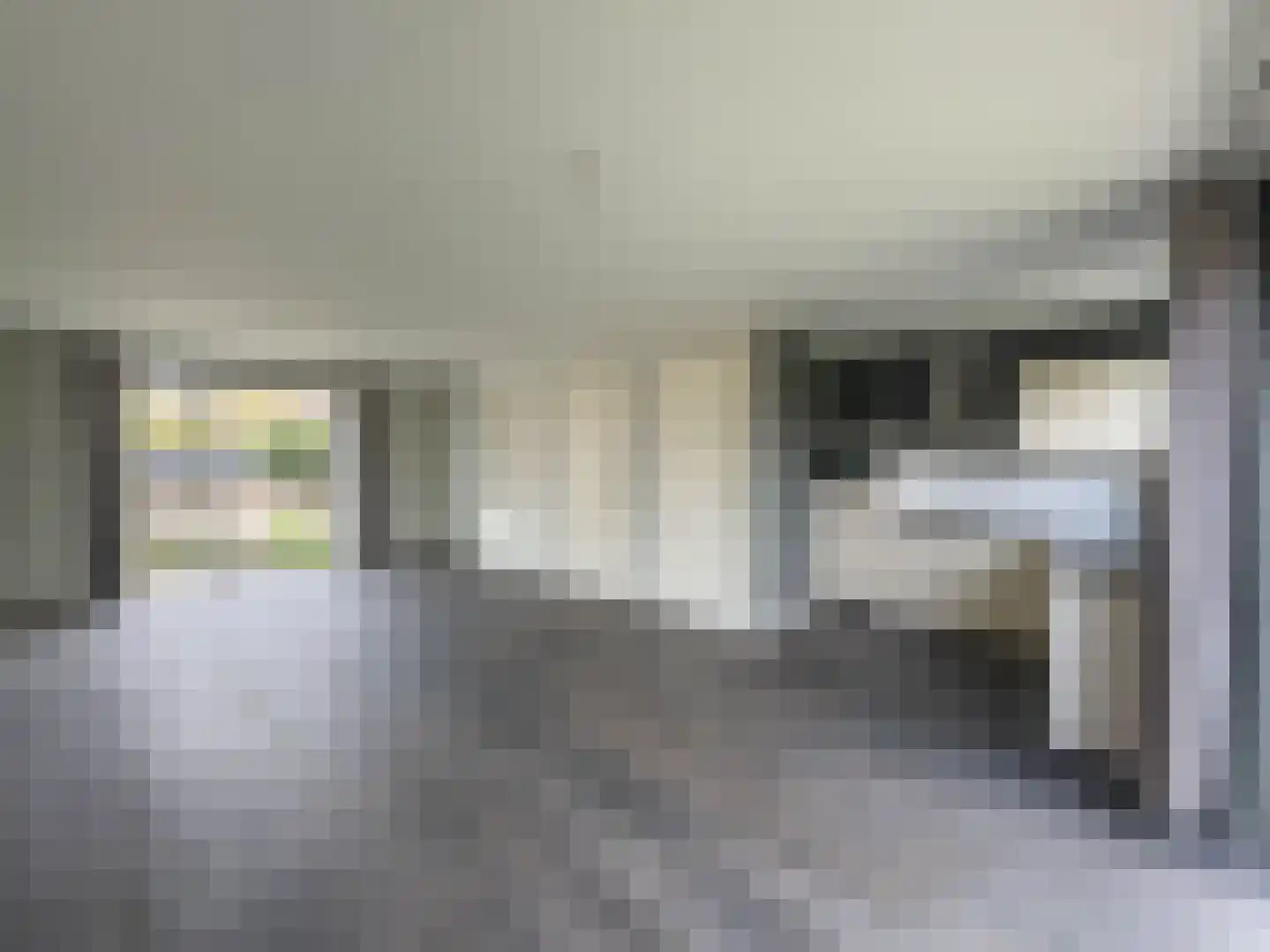 de Nieuwe Zoek 1 Schijf foto 3