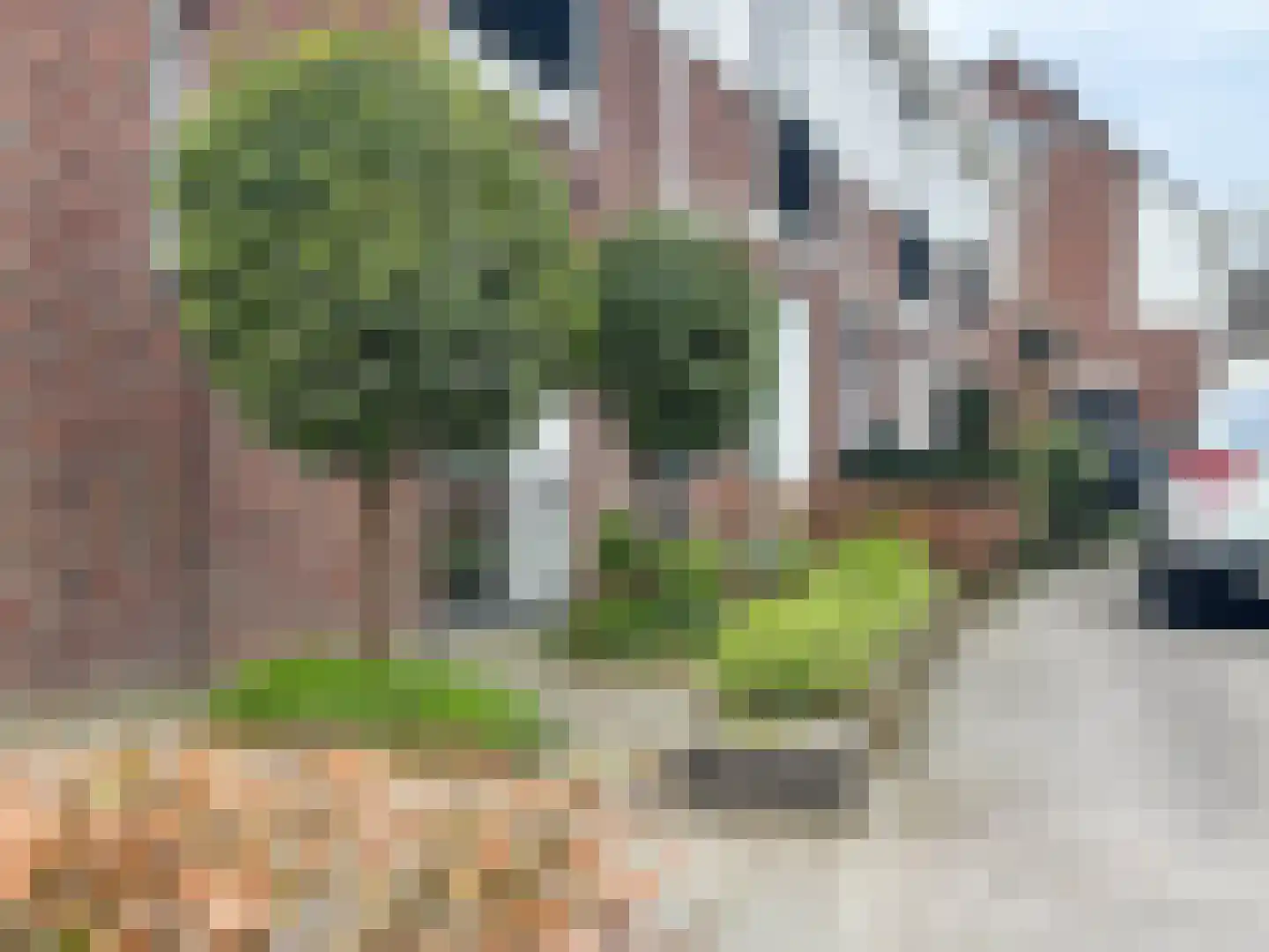 de Nieuwe Zoek 1 Schijf thumbnail 31