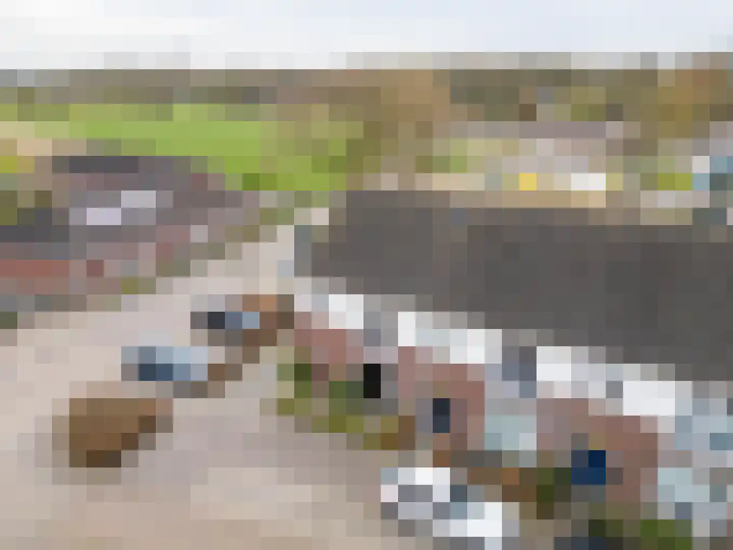 de Nieuwe Zoek 1 Schijf thumbnail 34