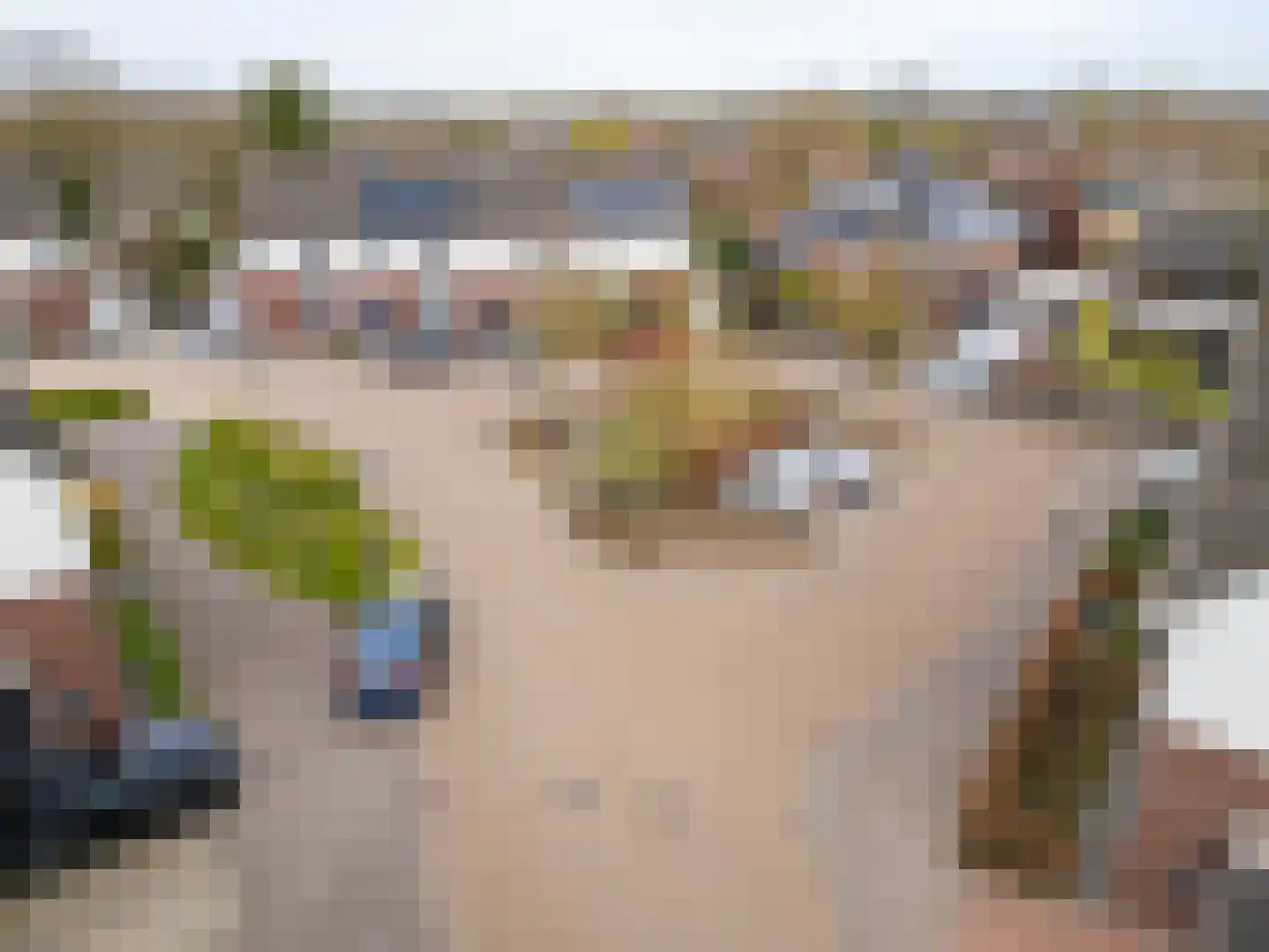 de Nieuwe Zoek 1 Schijf thumbnail 35