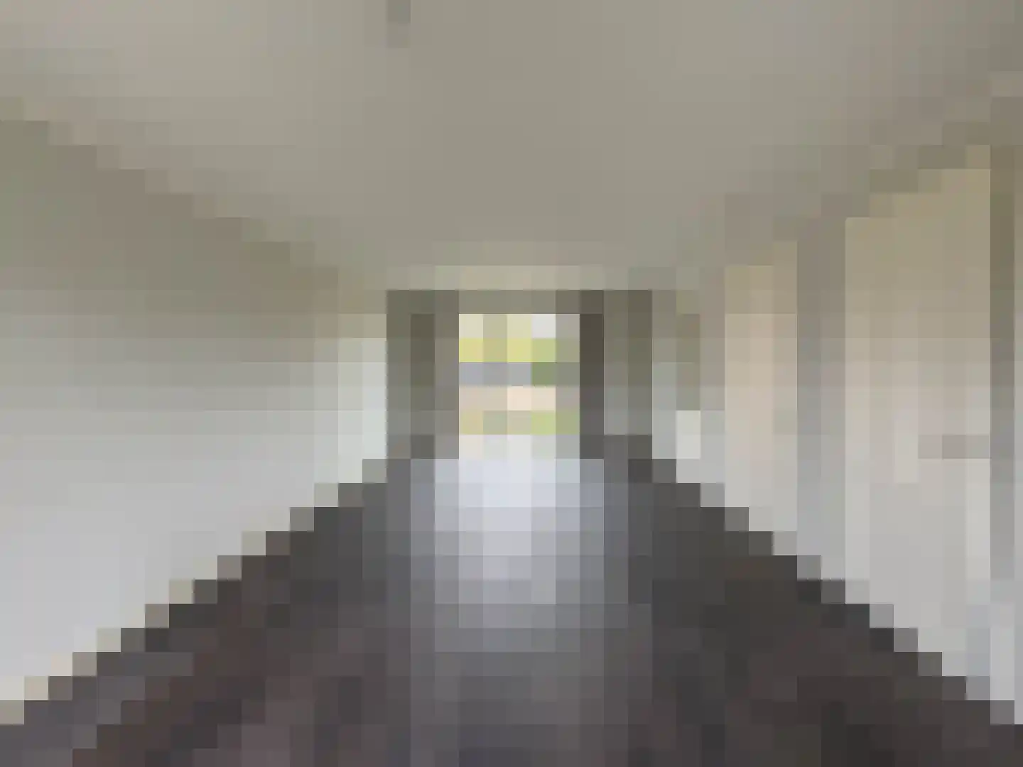 de Nieuwe Zoek 1 Schijf thumbnail 7