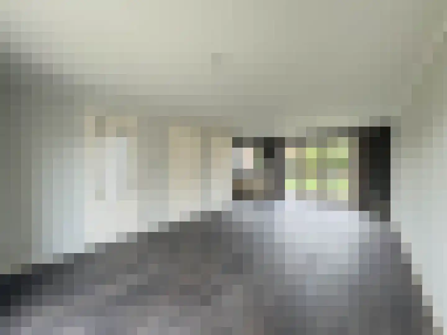 de Nieuwe Zoek 1 Schijf thumbnail 8