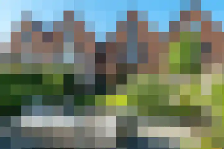 De Nije Daam 13 Leeuwarden thumbnail 20