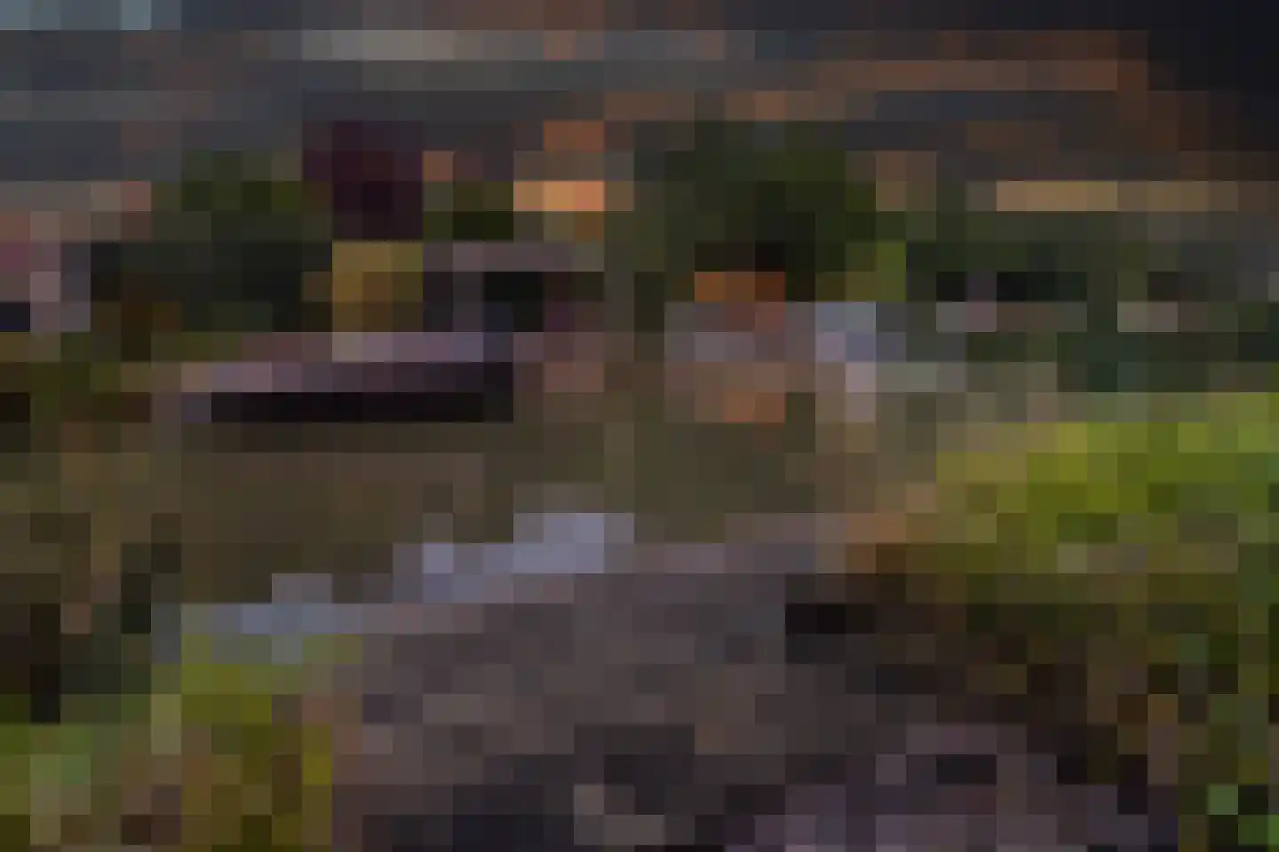 De Nije Daam 13 Leeuwarden thumbnail 5
