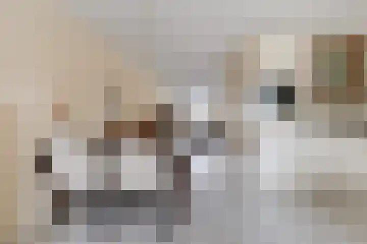 De Nije Kamers 12 St.-Annaparochie thumbnail 14
