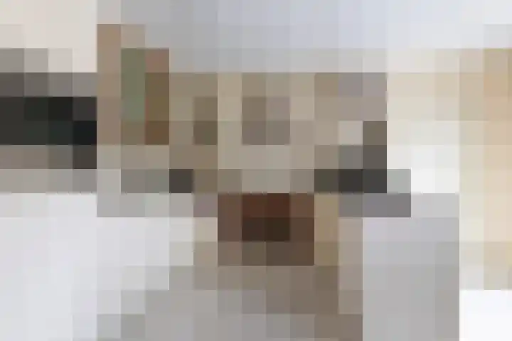 De Nije Kamers 12 St.-Annaparochie thumbnail 15