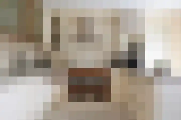 De Nije Kamers 12 St.-Annaparochie thumbnail 16