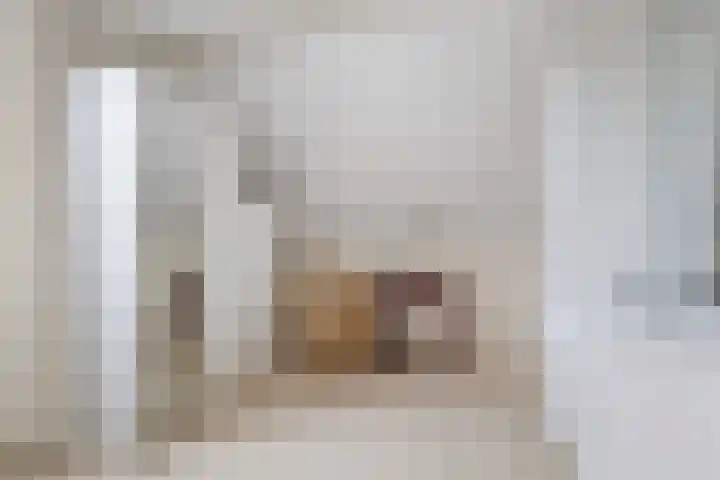 De Nije Kamers 12 St.-Annaparochie thumbnail 24