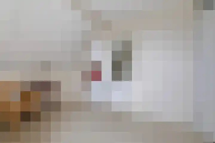 De Nije Kamers 12 St.-Annaparochie thumbnail 25