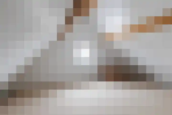 De Nije Kamers 12 St.-Annaparochie thumbnail 27