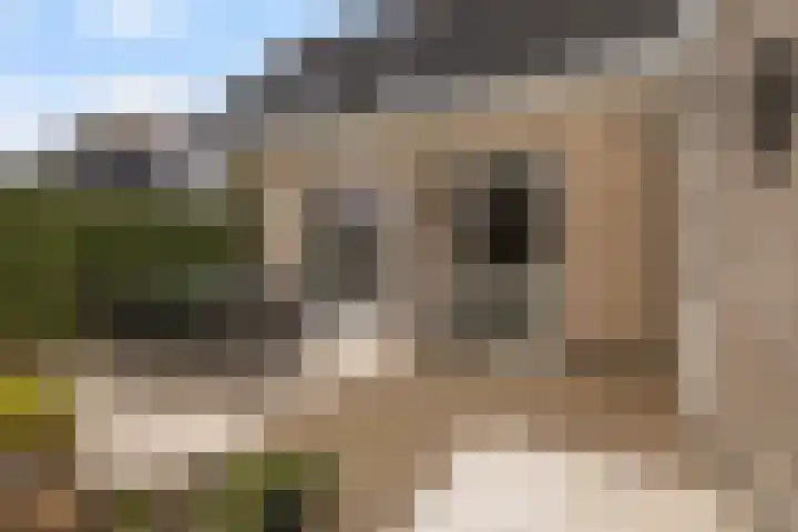 De Nije Kamers 12 St.-Annaparochie thumbnail 28