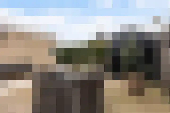 De Nije Kamers 12 St.-Annaparochie thumbnail 33