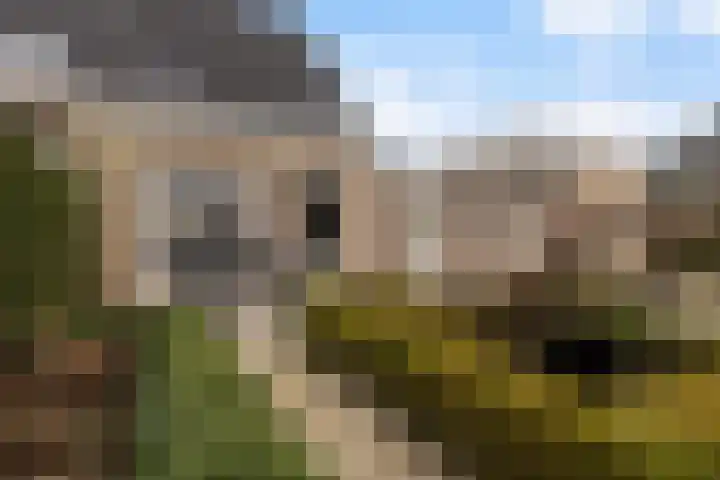 De Nije Kamers 12 St.-Annaparochie thumbnail 36