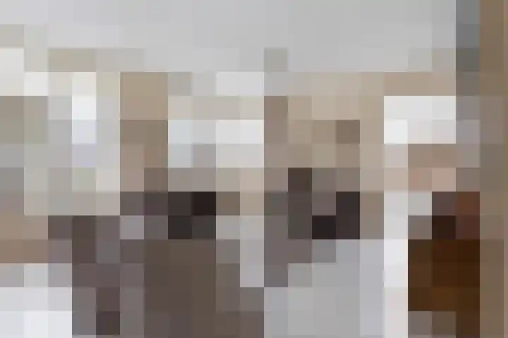De Nije Kamers 12 St.-Annaparochie thumbnail 9