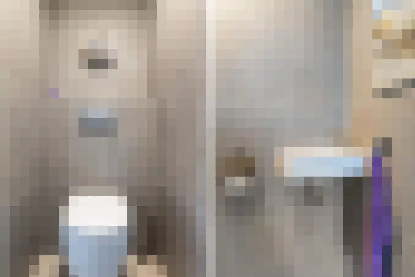 De Nije Kamers 14 St.-Annaparochie thumbnail 10