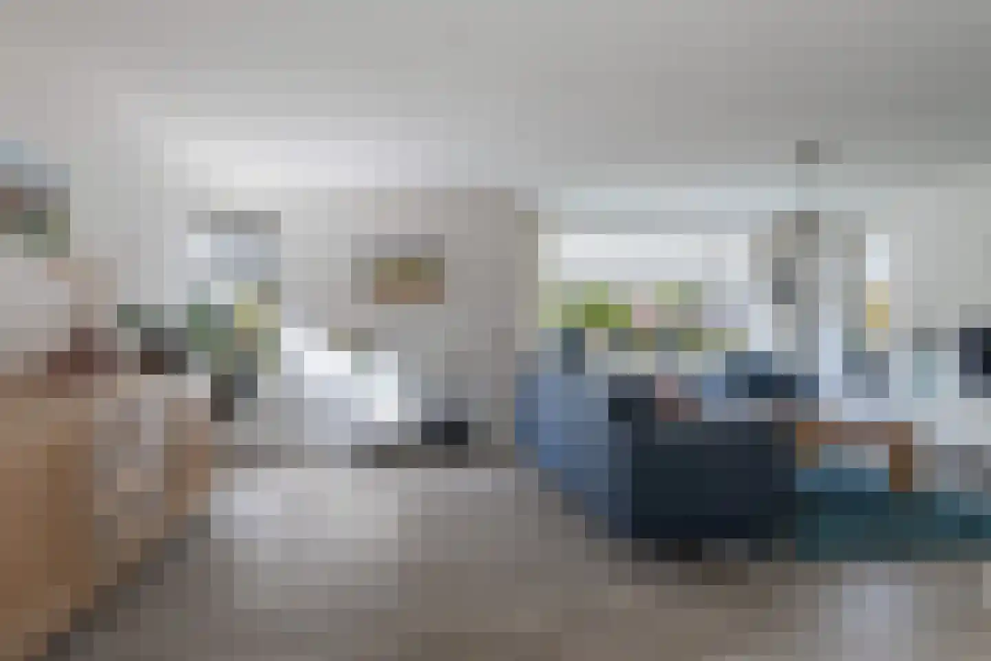 De Nije Kamers 14 St.-Annaparochie thumbnail 14