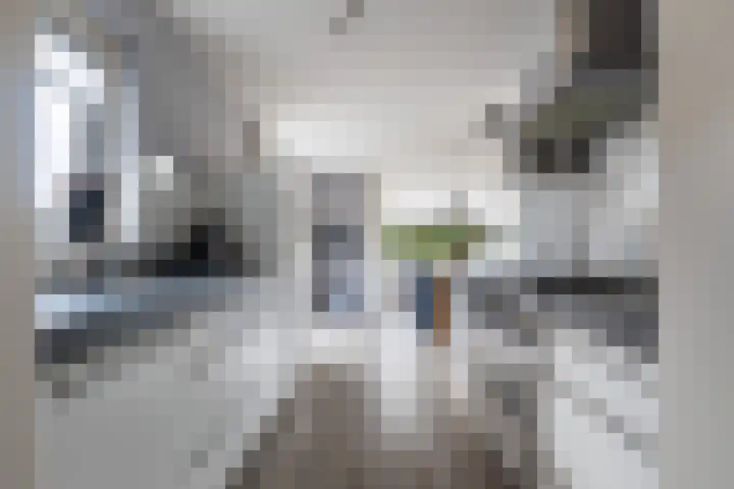De Nije Kamers 14 St.-Annaparochie thumbnail 20