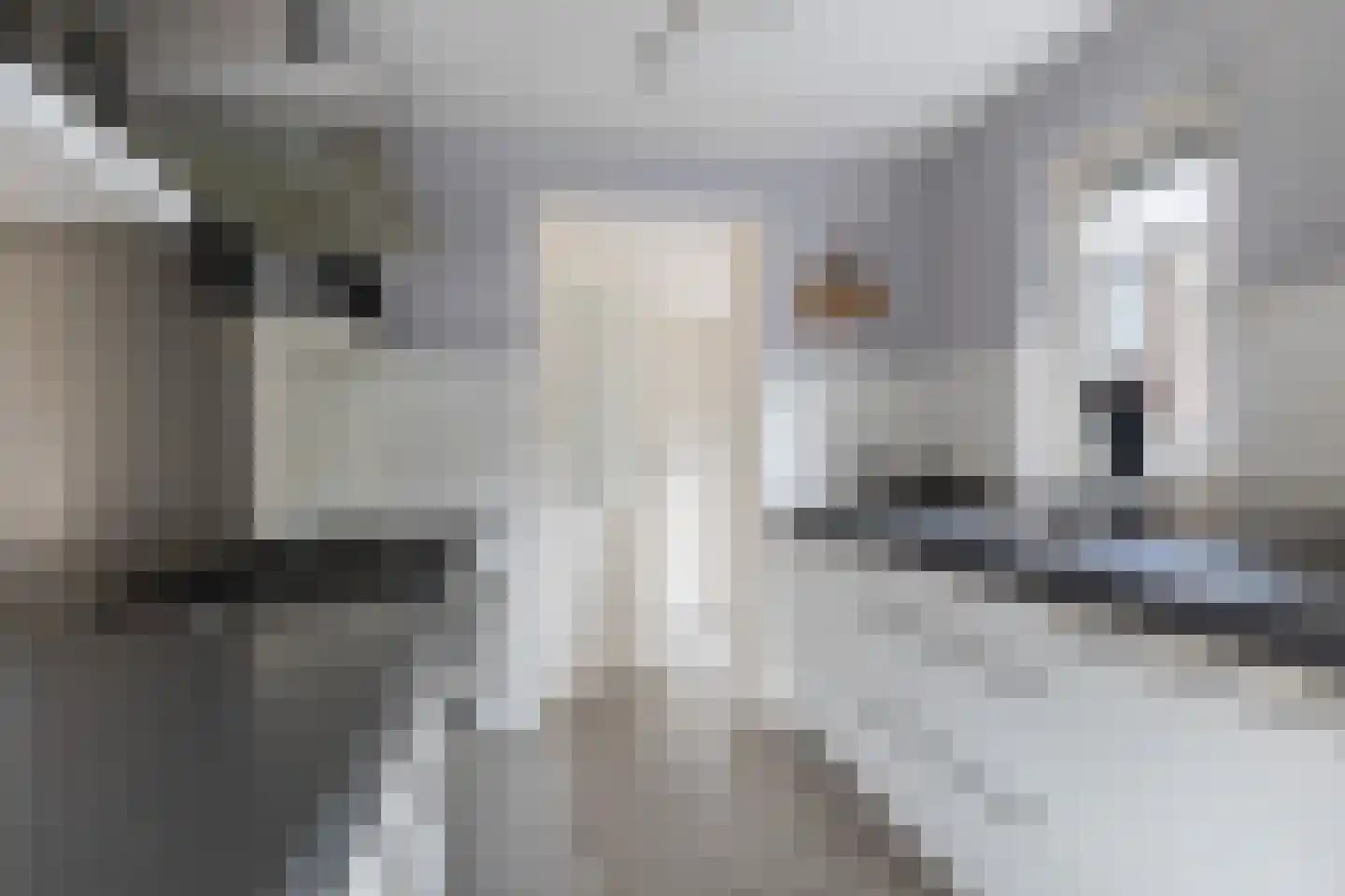 De Nije Kamers 14 St.-Annaparochie thumbnail 21
