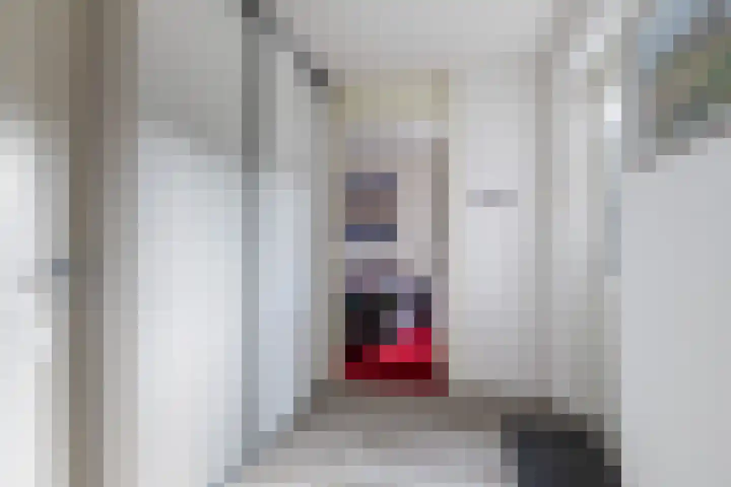 De Nije Kamers 14 St.-Annaparochie thumbnail 23