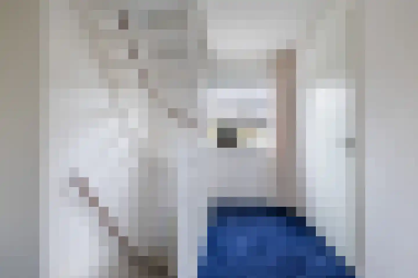 De Nije Kamers 14 St.-Annaparochie thumbnail 38