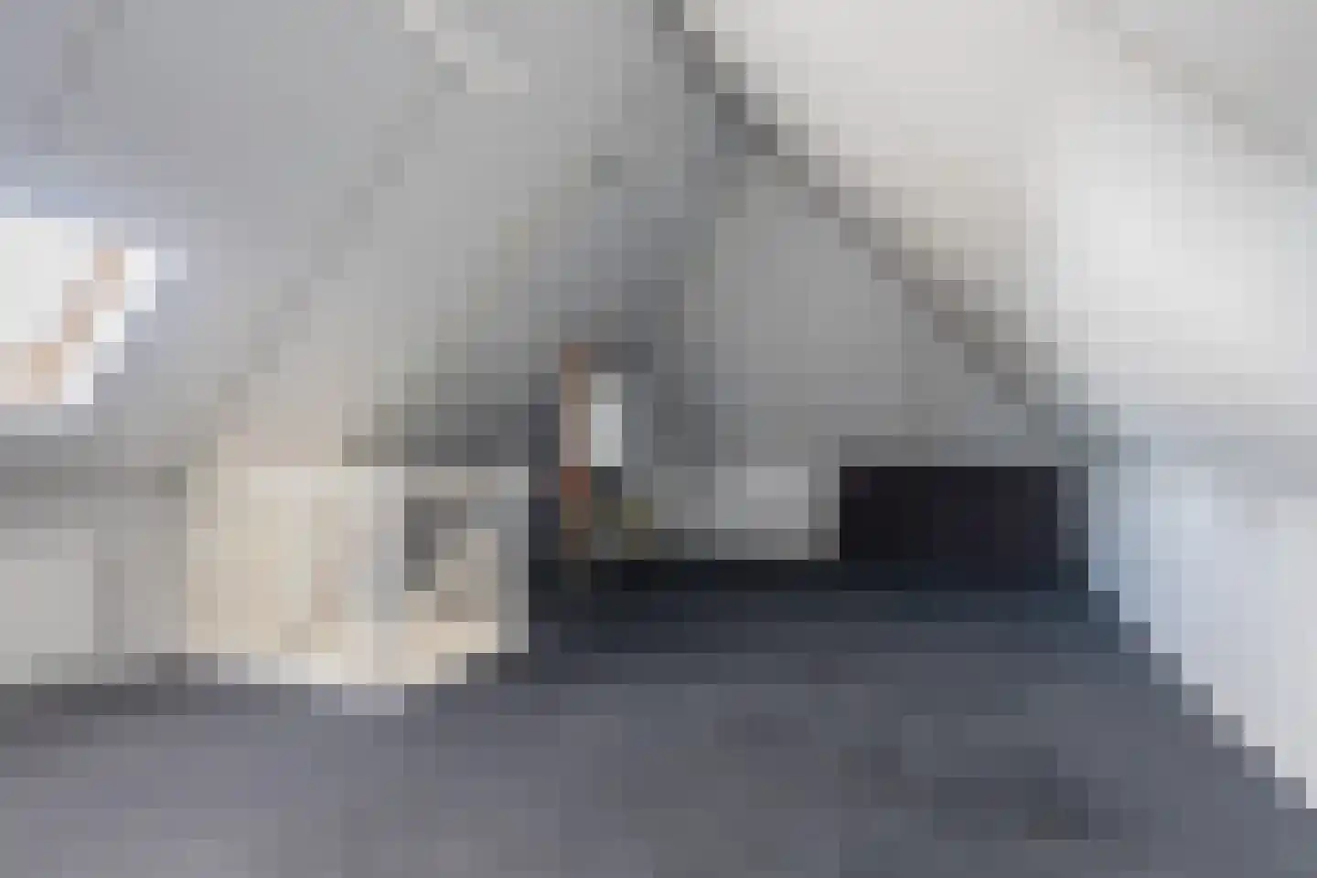 De Nije Kamers 14 St.-Annaparochie thumbnail 39