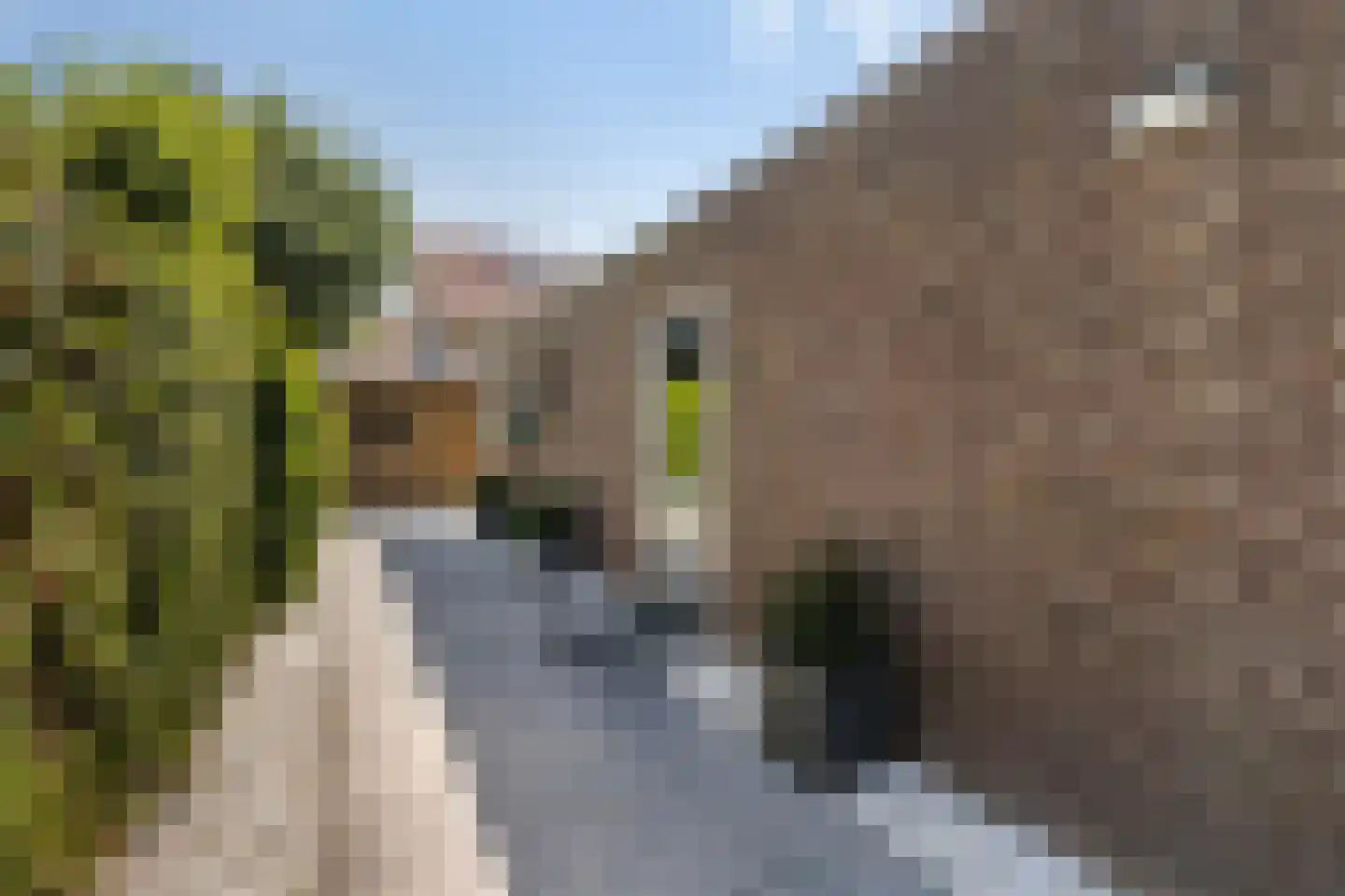 De Nije Kamers 14 St.-Annaparochie thumbnail 41