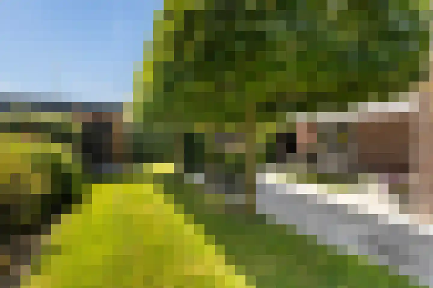 De Nije Kamers 14 St.-Annaparochie thumbnail 43