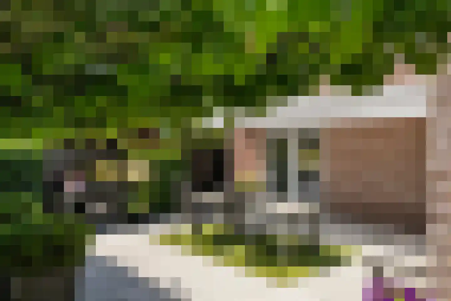 De Nije Kamers 14 St.-Annaparochie thumbnail 44